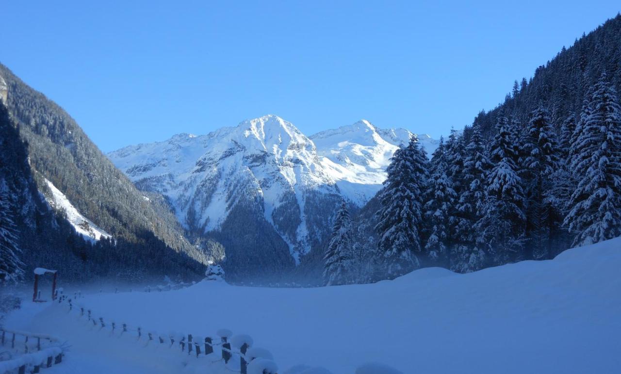 Apartment Gastein Bad Gastein Εξωτερικό φωτογραφία